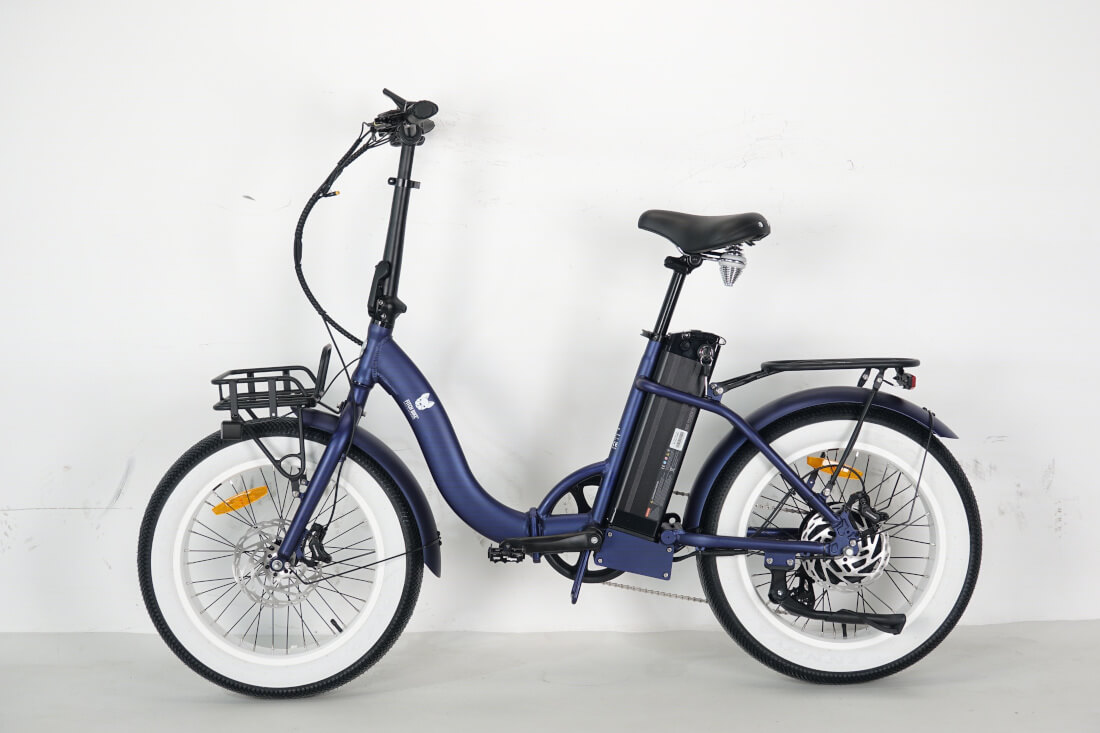 modèle blue.jpg