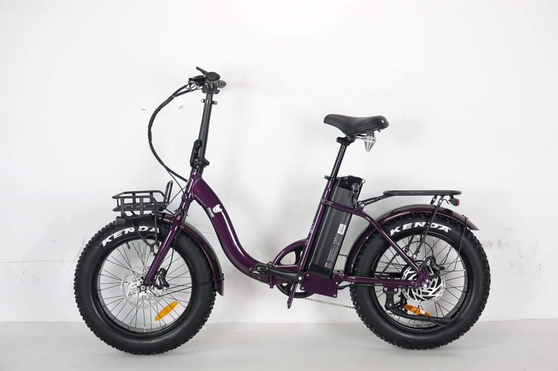 modèle violet.jpg
