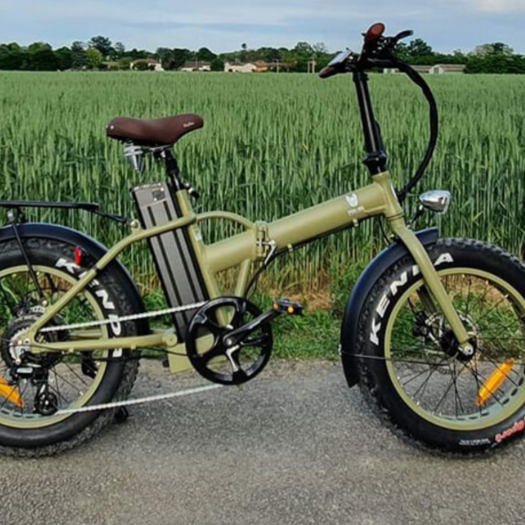 **Fitch Bike: An Eco-Responsible Approach?**