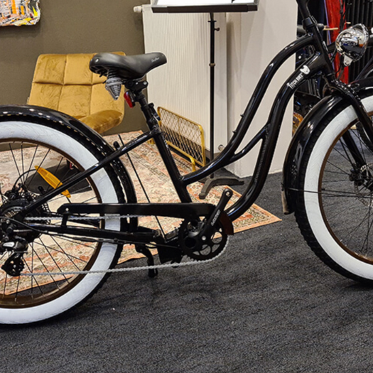 Commuting to Work by Electric Bike